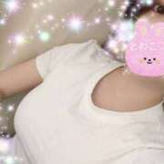 ヒメ日記 2026/02/03 07:30 投稿 牡丹とわこ ワイフコレクション