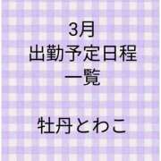 ヒメ日記 2026/02/19 15:33 投稿 牡丹とわこ ワイフコレクション