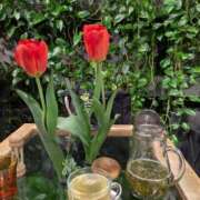 ヒメ日記 2026/02/22 14:12 投稿 牡丹とわこ ワイフコレクション