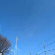 ヒメ日記 2026/02/28 10:43 投稿 牡丹とわこ ワイフコレクション