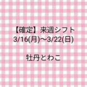 ヒメ日記 2026/03/12 18:16 投稿 牡丹とわこ ワイフコレクション