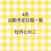 ヒメ日記 2026/03/16 20:31 投稿 牡丹とわこ ワイフコレクション