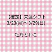 ヒメ日記 2026/03/18 16:14 投稿 牡丹とわこ ワイフコレクション