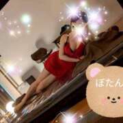 ヒメ日記 2026/03/22 22:01 投稿 牡丹とわこ ワイフコレクション