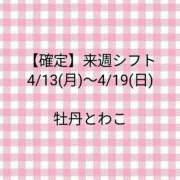 ヒメ日記 2026/04/07 22:42 投稿 牡丹とわこ ワイフコレクション