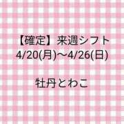ヒメ日記 2026/04/14 21:14 投稿 牡丹とわこ ワイフコレクション