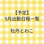 ヒメ日記 2026/04/15 10:42 投稿 牡丹とわこ ワイフコレクション
