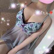 牡丹とわこ 【本日完売】お礼😍 ワイフコレクション