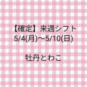 ヒメ日記 2026/05/01 11:13 投稿 牡丹とわこ ワイフコレクション