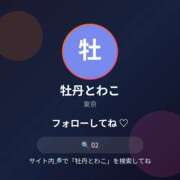 ヒメ日記 2026/06/17 19:32 投稿 牡丹とわこ ワイフコレクション