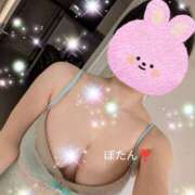 牡丹とわこ 【本日完売】お礼❣️タオル職人の日🌿 ワイフコレクション