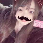 ヒメ日記 2026/02/11 15:44 投稿 みい E+アイドルスクール品川店