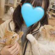 ヒメ日記 2026/02/18 16:44 投稿 夏目なほ 手コキ研修塾