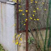 ヒメ日記 2026/02/22 14:15 投稿 かえで シークレットタッチ