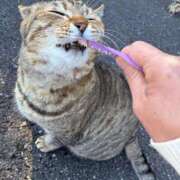 ヒメ日記 2026/03/04 15:18 投稿 かえで シークレットタッチ