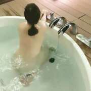 ヒメ日記 2026/01/31 18:49 投稿 みこ【高山出発】 Cat's高山店