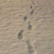 琴宮 あい 寒いのにありがとうっ🥶🩷 千葉Grand Mrs.