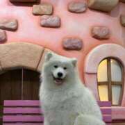 ヒメ日記 2026/02/28 17:15 投稿 朝比奈あみな ラブアイドル