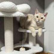 ヒメ日記 2026/02/12 16:09 投稿 せな 新宿クリスタル