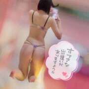 ヒメ日記 2026/02/19 21:12 投稿 せな 新宿クリスタル