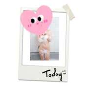 ヒメ日記 2026/02/03 03:00 投稿 榎本 錦糸町おかあさん