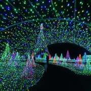 ヒメ日記 2026/02/07 18:46 投稿 りん 足利スチームバスセンター