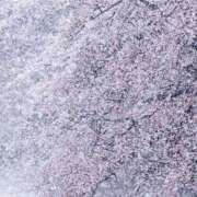 ヒメ日記 2026/02/08 14:16 投稿 りん 足利スチームバスセンター