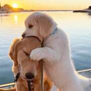 ヒメ日記 2026/02/09 12:16 投稿 りん 足利スチームバスセンター