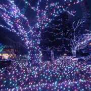 ヒメ日記 2026/02/13 22:16 投稿 りん 足利スチームバスセンター