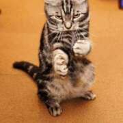 ヒメ日記 2026/02/17 18:16 投稿 りん 足利スチームバスセンター