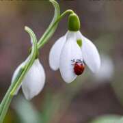 ヒメ日記 2026/02/19 12:16 投稿 りん 足利スチームバスセンター