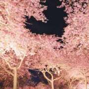 ヒメ日記 2026/02/19 17:01 投稿 りん 足利スチームバスセンター