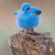 ヒメ日記 2026/02/23 09:31 投稿 りん 足利スチームバスセンター