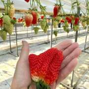 ヒメ日記 2026/02/19 12:02 投稿 やよい あとりえ(ATELIER)