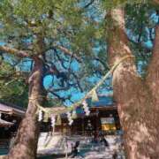 ヒメ日記 2026/02/19 19:00 投稿 やよい あとりえ(ATELIER)