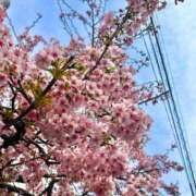 ヒメ日記 2026/02/20 13:56 投稿 やよい あとりえ(ATELIER)