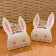 ヒメ日記 2026/03/07 17:02 投稿 やよい あとりえ(ATELIER)