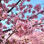 ヒメ日記 2026/03/08 07:00 投稿 やよい あとりえ(ATELIER)