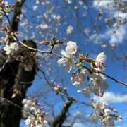 ヒメ日記 2026/03/24 12:02 投稿 やよい あとりえ(ATELIER)