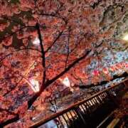 ヒメ日記 2026/03/29 21:00 投稿 やよい あとりえ(ATELIER)