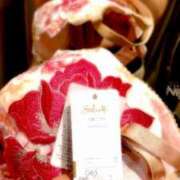 ヒメ日記 2026/04/11 17:00 投稿 やよい あとりえ(ATELIER)