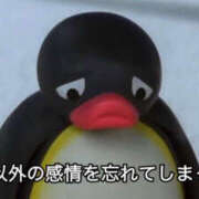 ヒメ日記 2026/05/15 16:28 投稿 むつみ 海物語
