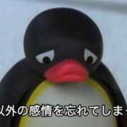 ヒメ日記 2026/10/23 18:41 投稿 むつみ 海物語