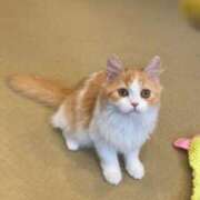 ヒメ日記 2026/03/19 11:52 投稿 さわ 熟女の風俗最終章 宇都宮店