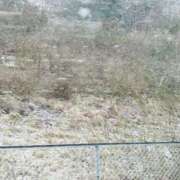 ヒメ日記 2026/02/08 13:02 投稿 みちる 熟女総本店 堺東店