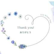 ヒメ日記 2026/03/17 08:01 投稿 みちる 熟女総本店 堺東店