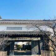 ヒメ日記 2026/03/22 08:22 投稿 みちる 熟女総本店 堺東店