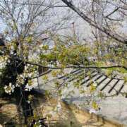 ヒメ日記 2026/03/28 13:19 投稿 みちる 熟女総本店 堺東店