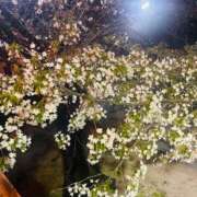 ヒメ日記 2026/03/30 22:28 投稿 みちる 熟女総本店 堺東店