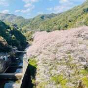 ヒメ日記 2026/04/02 16:26 投稿 みちる 熟女総本店 堺東店